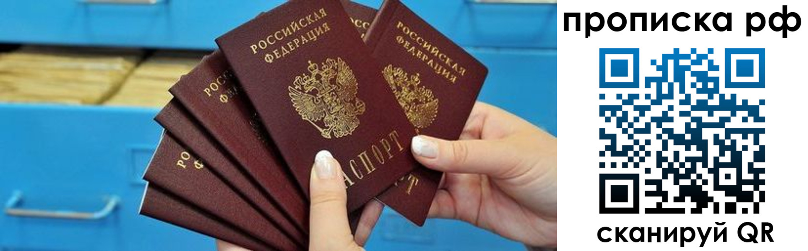 прописка поиск в Краснозаводске
